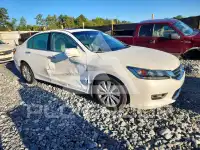 2013 Honda Accord photo