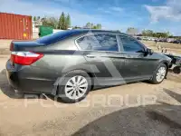 2013 Honda Accord photo