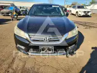2013 Honda Accord photo