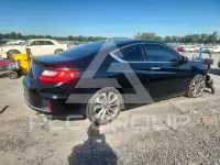 2013 Honda Accord photo