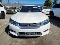 2013 Honda Accord photo
