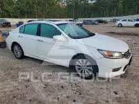 2013 Honda Accord фото