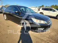 2013 Honda Accord photo