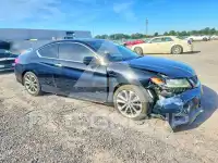 2013 Honda Accord photo
