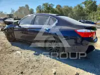 2013 Honda Accord photo