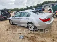 2013 Honda Accord photo