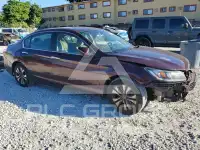 2013 Honda Accord photo