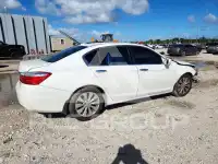 2013 Honda Accord photo