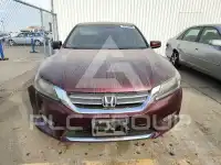 2013 Honda Accord фото
