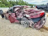 2013 Honda Accord фото