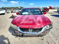 2013 Honda Accord photo