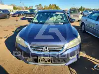 2013 Honda Accord photo
