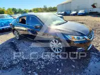 2013 Honda Accord фото