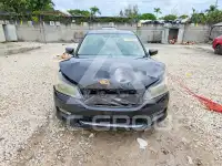 2013 Honda Accord photo