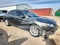 2013 Honda Accord photo