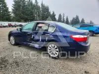 2013 Honda Accord photo