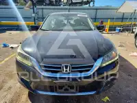 2013 Honda Accord photo