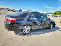 2013 Honda Accord photo