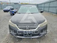 2013 Honda Accord фото