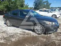 2013 Honda Accord фото