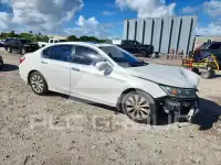 2013 Honda Accord photo