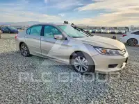 2013 Honda Accord photo