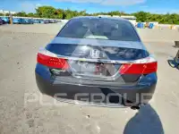 2013 Honda Accord photo