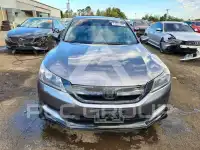 2013 Honda Accord photo
