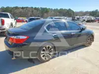 2013 Honda Accord photo