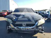 2013 Honda Accord photo