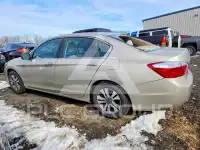 2013 Honda Accord photo