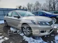 2013 Honda Accord photo