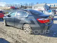 2013 Honda Accord фото