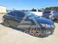 2013 Honda Accord photo