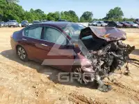 2013 Honda Accord фото