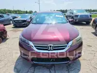 2013 Honda Accord photo