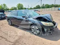 2013 Honda Accord фото