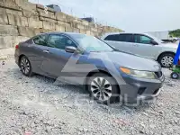 2013 Honda Accord photo
