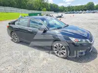 2013 Honda Accord photo