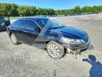 2013 Honda Accord photo