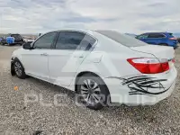 2013 Honda Accord photo