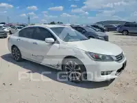 2013 Honda Accord photo