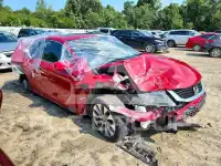 2013 Honda Accord photo