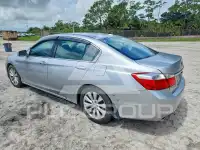 2013 Honda Accord photo