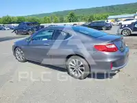 2013 Honda Accord photo