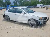 2013 Honda Accord photo