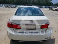 2013 Honda Accord photo