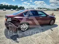 2013 Honda Accord фото