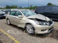 2013 Honda Accord photo