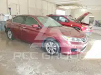 2013 Honda Accord photo